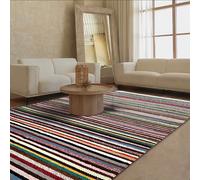 Handwoven Velvet Chindi Rug, Multicoloured Stripes, Cotton Reversible Area Rug, Garden Living Room Bedroom indoor Home Decor Mat (90 x 150 cm)
