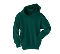 Hanes Boys' Eco Smart Fleece Pullover Hood - green - L