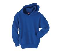 Hanes Boys' Eco Smart Pullover Hoodie, Deep Royal, L