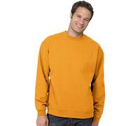 Hanes ComfortBlend EcoSmart Men`s Crew Sweatshirt, P160, XL Gold