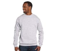 Hanes ComfortBlend Long Sleeve Fleece Crew - p160