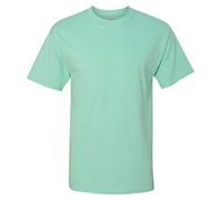 Hanes Men's Big-Tall Beefy-T Tall T-Shirt-B, Clean Mint, XL