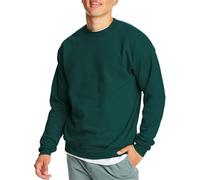 Hanes Men's EcoSmart Fleece, Cotton-Blend Pullover, Crewneck Sweatshirt, 1 Or 2 Pack Available, Deep Forest-1 Pack, S