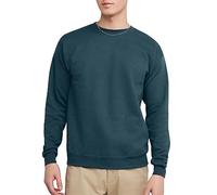 Hanes Men's EcoSmart Fleece, Cotton-Blend Pullover, Crewneck Sweatshirt, Metallic Teal 1 Pack, L