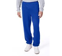 Hanes Men's EcoSmart Fleece Sweatpant, Deep Royal, S