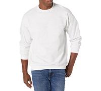 Hanes Men's Ecosmart Fleece Sweatshirt