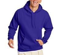 Hanes Men's EcoSmart Hoodie, Midweight Fleece, Pullover Hooded Sweatshirt, Purple, M