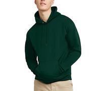 Hanes mens Ecosmart Hoodie, Midweight Fleece Sweatshirt, Pullover Hooded Sweatshirt for Men, Deep Forest, L