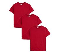 Hanes Men's EcoSmart Short Sleeve Tee (O53703) Deep Red S 3-Pack