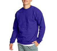 Hanes Men's Ecosmart Sweatshirt, Purple, XXL UK
