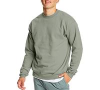 Hanes Men's EcoSmart Sweatshirt, Stonewashed Green, XXL