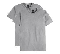 Hanes Men's Nano Premium Cotton T-Shirt (Pack of 2), Light Steel, Large
