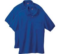 Hanes Men's Short Sleeve Jersey Pocket Polo, Deep Royal, Large (Pack of 2)