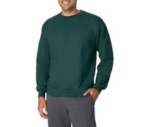 Hanes Men's Ultimate Heavyweight Fleece Sweatshirt, Deep Forest, Small