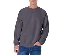 Hanes mensOF260Ultimate Cotton Sweatshirt Long Sleeve Sweatshirt - Gray - S
