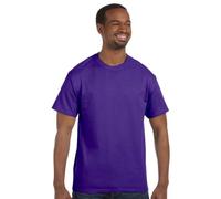 Hanes TAGLESS Men`s T-Shirt - Best-Seller, 5250, 5XL, Purple