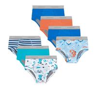 Hanes Trainer Briefs, Light Leaks Potty Training Underwear for Toddler Boys, Multipacks, Turquoise, white, blue, stripes, orange, 2-3 Jahre