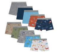 Hanes Underwear Soft Boxer Shorts for Boys and Toddlers Comfort Flex Waistband Multipacks, Days of the week, blue, tan, green, 2-3 Jahre