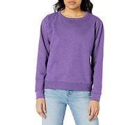 Hanes Women's Crewneck Sweatshirt, EcoSmart Fleece Women's Pullover Sweatshirt, Sweatshirt for Women, Violet Splendor, Medium