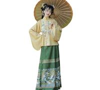 Hanfu Dress Women Ancient Chinese Traditional Embroidery Hanfu Female Fairy Cosplay Costume Dress Hanfu