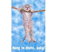 Hang In There Baby! Cat Retro Motivational Poster 30x46 cm inch