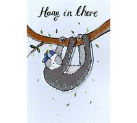 Hang in There, Sloth Any Occasion Greeting Card Hello You Range Blank Inside HY051