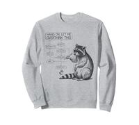 Hang On Let Me Overthink This Raccoon Tshirt Funny Sarcastic Sweatshirt
