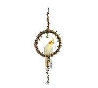 Hangable Bird Swing, Finch Cage Toy, Chew Play Accessory, Interactive Cockatiel Conure Enrichment Aid, Fun Lovebird Cage Activity Helper, Pet Supply for Parrots, Finches, Small Birds, 18.5x50cm