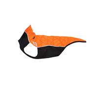 Hangerless dog sweater Back on Track Eddie