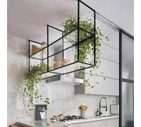 Hanging Acrylic Floating ShelvesEuropean Style Industrial Ceiling StorageWall Decor Flower Stand2Tier Ceiling Mounted Rack for Home & Office Organization
