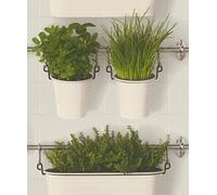 Hanging Basket Wallpaper Green Grey Botanical Plant Leaf