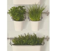 Hanging Basket Wallpaper Rasch Green Grey Botanical Plant Leaf