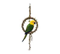 Hanging Bird Swing - Parakeet Game Component, 7.28 x 19.69 Inch Radial Geometric Mass Displacement System, Integrated Suspension Safety Fixing Component, Opaque