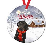 Hanging Ceramic Hello Winter Red Scarf Dog Farm Snow House Pet Siberian Husky Dog Circle Xmas Pendant Personalised Ornaments For Family Women Festive