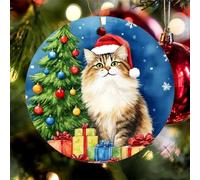 Hanging Ceramic Winter Maine Coon Cat Vintage Xmas Tree Hanging Art Keepsake For Anniversary Lover Friends