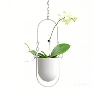 Hanging Decoration Pot Metal Boho Hanging Basket Ceiling Planter for Indoor Plants Succulents Air Plants Cactus (White)