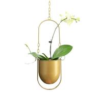 Hanging Decoration Pot Metal Boho Hanging Basket Ceiling Planter for Indoor Plants Succulents Air Plants Cactus (Gold)