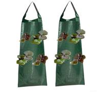 Hanging Fabric Grow Bags 2-Pack for Strawberries Tomatoes(A)