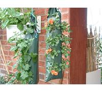 Hanging Flower Strawberry Planter Bags - Pack of 3 Now Grow Kitchen Herbs and other Plants