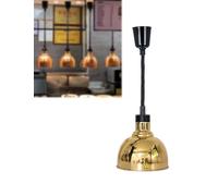 Hanging Food Heat Lamp Warmer, Catering Heating Light, Pendant Ceiling Lights for Keep Buffet Steak Warm, Restaurant Kitchen Supplies(ID25CM(G038),Gold)