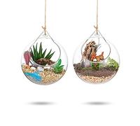 Hanging Glass Globes Terrarium Succulents Orbs 2 Pcs Glass Planter Big Opening Air Fern Plants Vase Hanger 4 Inches for Home Party Wedding Garden DIY Design