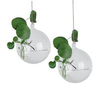 Hanging Glass Planter, 2Pcs 3.9 Inch Clear Round Wall Vase with Rope, Heat Resistant Hanging Terrarium, Plant Terrarium for Home, Office