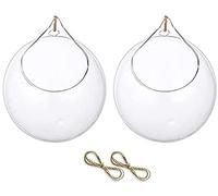 Hanging Glass Terrarium Succulents Planter Globe Air Fern Plants Holder Vase Hanger with Big Opening 10cm 2PCS,Essential ToolsPlanting