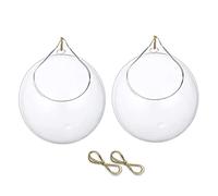 Hanging Glass Terrarium Succulents Planter Globe Air Fern Plants Holder Vase Hanger with Big Opening 10cm 2PCS