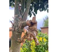 Hanging Gnome 17cm Garden Ornament Tree Hugger Garden Peeker Yard art Elf Sculpture Decorative Resin Figurine Home Decor GIFT NEW