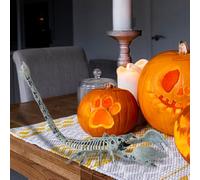 Hanging Halloween Decorations A Unique Choice Animal Skeleton Ornaments Breaking Conventions and Instantly Upgrading Your Space The Topic Center of ' Gatherings Reusable Halloween (White, 24cm)