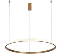 Hanging Lamp Chandelier Golden Circle Inside and Outside The Ring Luminous Dining Room Staircase Chandelier