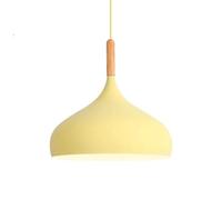 Hanging Lamp Creative Elegant Ceiling Light Chandelier Single Head Metal Color Pendant Light Hot Pot Shop Decoration Suspensiom Lamp for Kitchen, Bedside Indoor Rustic