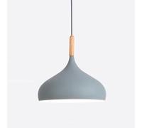 Hanging Lamp Creative Elegant Ceiling Light Chandelier Single Head Metal Color Pendant Light Hot Pot Shop Decoration Suspensiom Lamp for Kitchen, Bedside Indoor Rustic