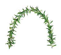 Hanging Olive Branch Greenery Garland with Fruit, Artificial Olive Leaf Vines/Wreath, Ivy Vines Leaf Greenery Ornament for for Front Door Wedding Wall Arch Home Decor(Vines)
